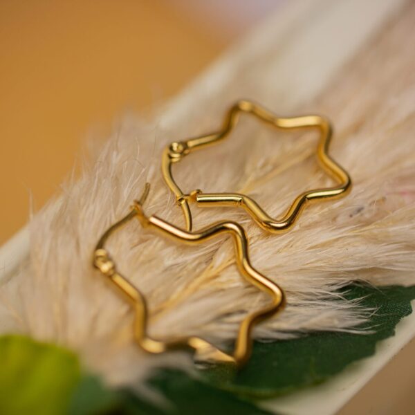 Star Hoops